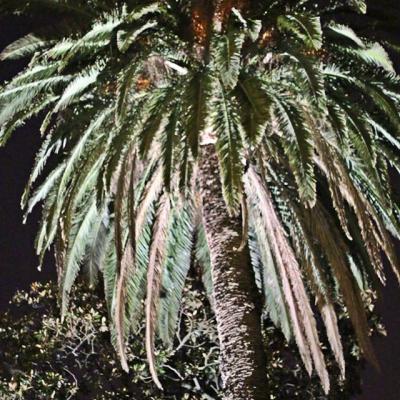 10582762 1684493538449227 4935447325434305923 O