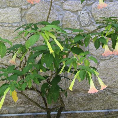 0k1a6186 Easy Resize.com