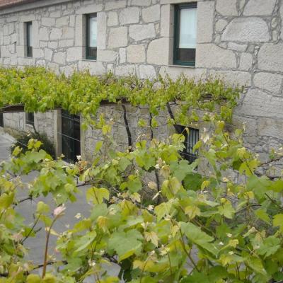 72388 100896576767451 1918443129 N